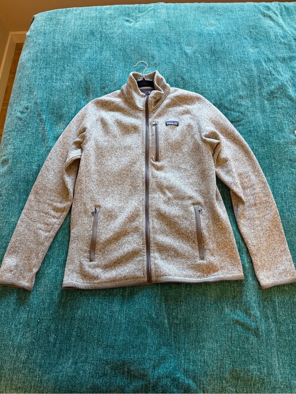 Patagonia Light Gray Full-Zip Fleece Jacket
